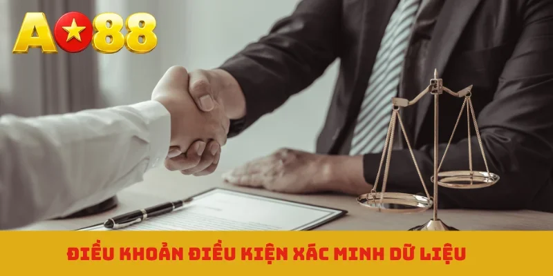 Điều khoản điều kiện xác minh dữ liệu