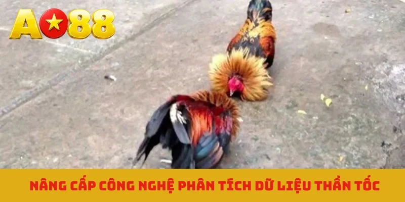 Nâng cấp công nghệ phân tích dữ liệu thần tốc